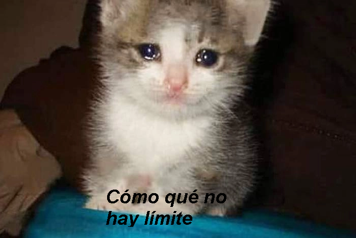 1637776741795.png