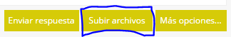 ayuda 2.PNG