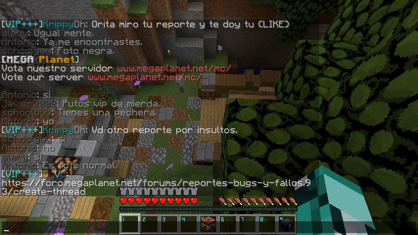 Reporte.png